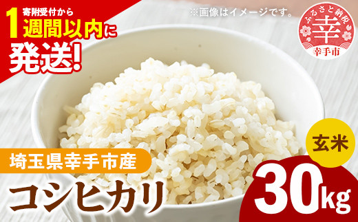 令和7年産 幸手市産 コシヒカリ 玄米30kg 色彩選別済 Brown Rice - お米 米 こしひかり 玄米 30kg 埼玉県 幸手市