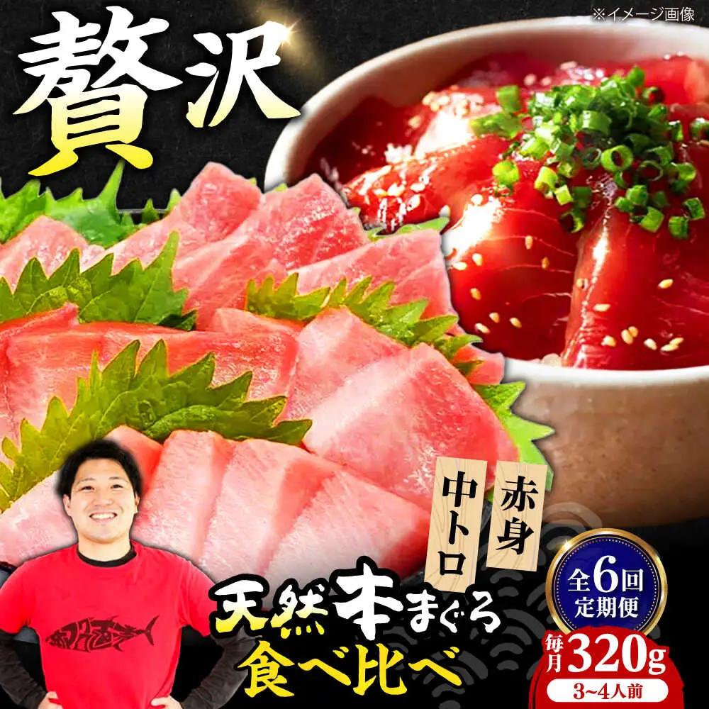 【全6回定期便】たね熟天然本まぐろ赤身＆中トロセット(320g 各160g)[AOCE041]マグロ