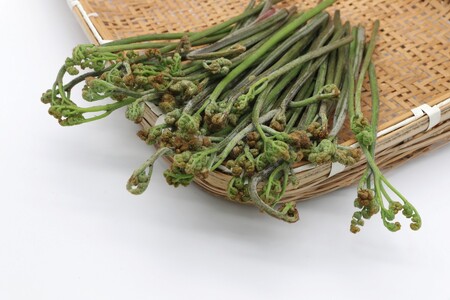 【春限定6/30迄】黒姫高原の山菜を味わう！もちもち手づくり山菜おやき3種12個【長野県 信州 信濃町 ふるさと納税／こなもん屋ジロー】