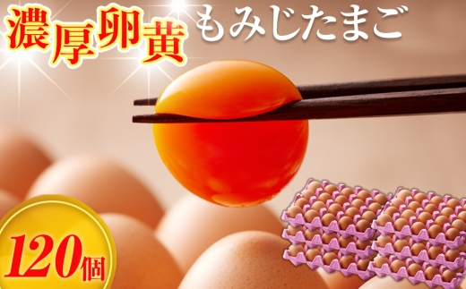 【山田養鶏】濃厚卵黄もみじたまご【120個入り】 [No.190] ／ タマゴ 純国産 新鮮 採れたて 岐阜県 特産