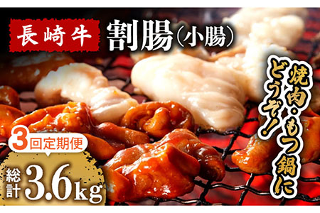 【3回定期便】長崎牛 割腸（小腸） 焼肉・ホルモン 鍋 用 1.2kg  / 鍋 なべ やきにく ホルモン 牛肉 もつ鍋 / 南島原市 / はなぶさ [SCN118]