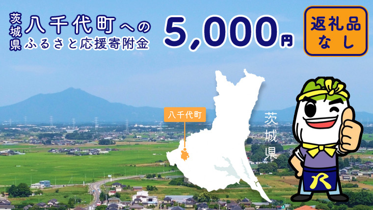 
【 返礼品なし 】茨城県 八千代町 ふるさと応援寄附金 （ 5,000円 ) [ZZ003ya]
