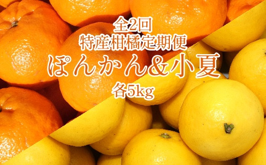 
                  全2回定期便 特産柑橘フルーツ各５kg（ぽんかん＆小夏 ）5キロ みかん ミカン 果物 果実 デコポンの親 日向夏 オレンジ デザート 甘い 美味しい 国産 ギフト  先行予約【J00006】
                