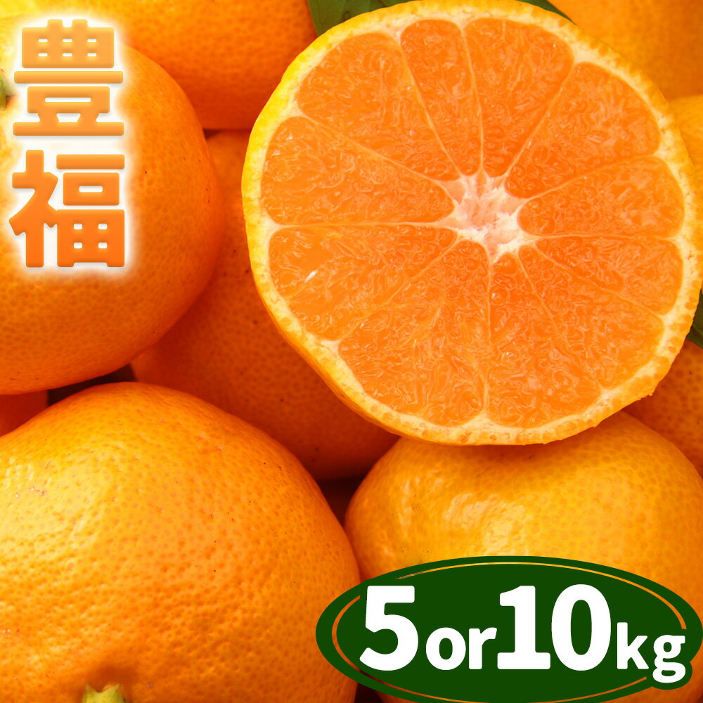 【ふるさと納税】果物 フルーツ みかん 極早生みかん 豊福 選べる内容量 約5kg 約10kg 都呂々みかん生産者グループ《10月中旬-11月下旬頃出荷》 ミカン 蜜柑 柑橘 生産者直送 産地直送 天草 苓北 送料無料 熊本県