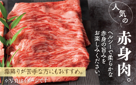 5等級 飛騨牛 赤身 しゃぶしゃぶ用 500g 牛肉 和牛 肉 国産 カタ モモ スライス 飛騨市 [Q1031_sha_5] 25000円