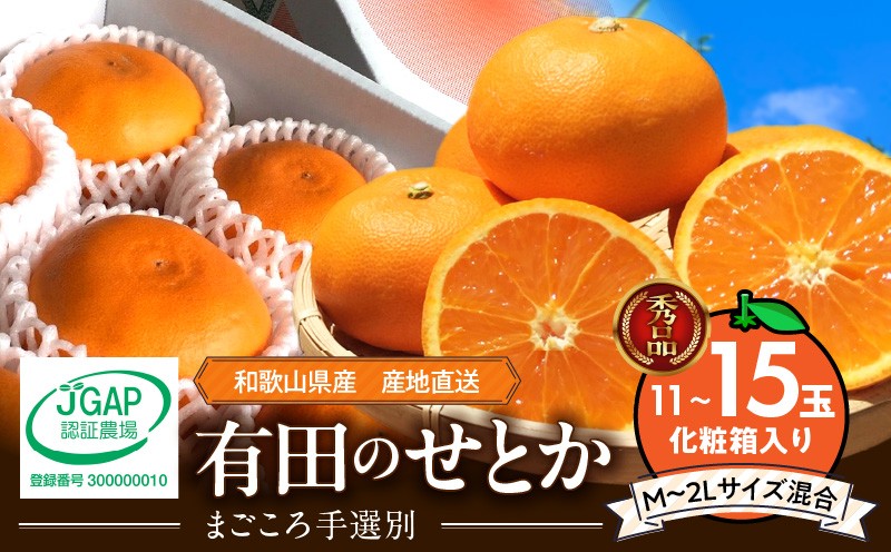 
                  ZE6401n_【2027年先行予約】湯浅町産せとか11～15玉（M～2Lサイズ混合）化粧箱入り秀品【まごころ手選別】
                