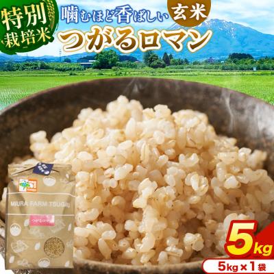 ふるさと納税 弘前市 米【特別栽培米】つがるロマン 玄米 5kg 令和7年産|24_mft-100501