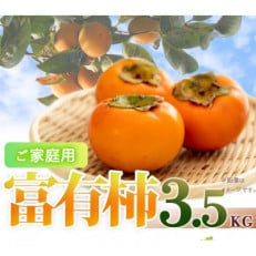【2024年発送】【ご家庭用わけあり】和歌山秋の味覚　富有柿　約3.5kg