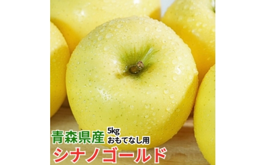 ＜26年11月から順次発送＞平均糖度13度以上! シナノゴールド 約5kg おもてなし用 青森りんご【1612916】