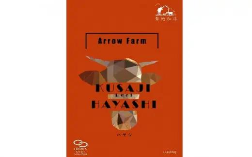 レトルトハヤシ (1人前180g)3個入| レトルト ハヤシライス