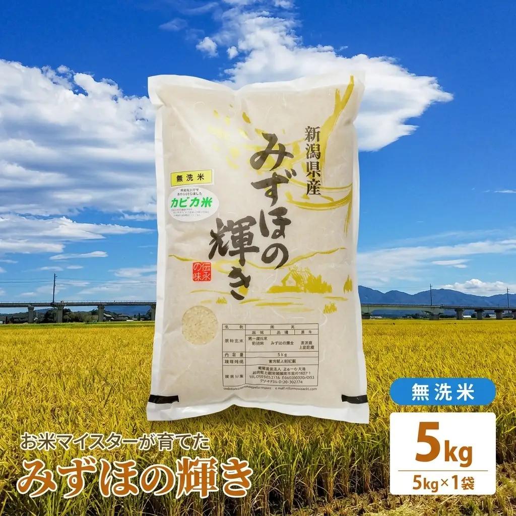 みずほの輝き 上越 無洗米 みずほの輝き 5kg(5kg×1)