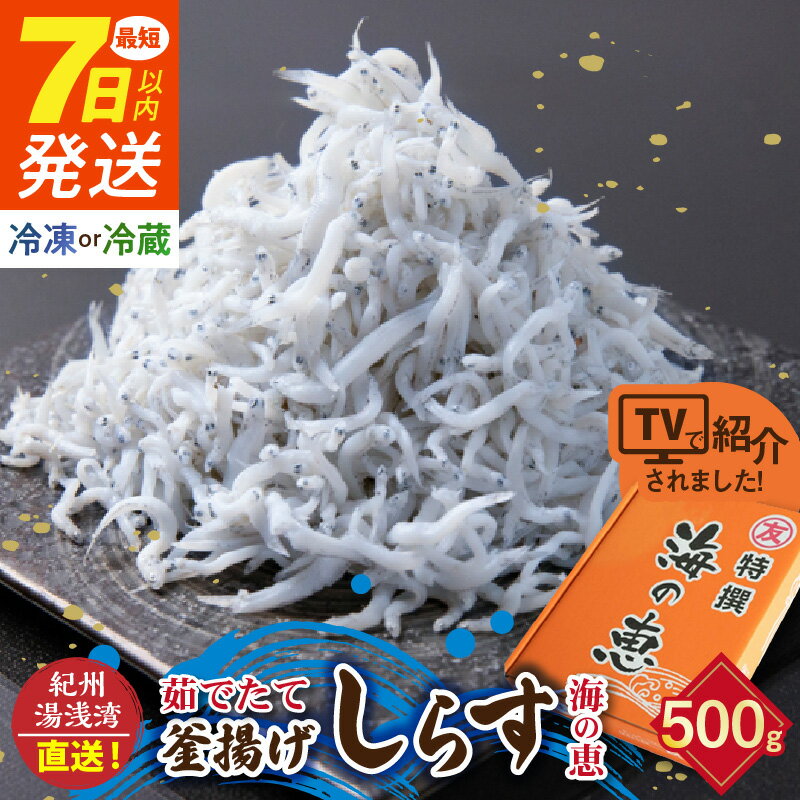 【ふるさと納税】【限定】 《7日以内発送》 高評価★4.88 選べる 冷蔵 冷凍 茹でたて 釜揚げしらす 海の恵み 500g 紀州湯浅湾直送！【しらす干し ちりめんじゃこ シラス】