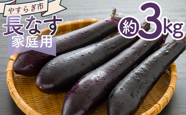 【2025年10月中旬以降発送】長なす 3kg 家庭用 - 国産 茄子 なすび 野菜 青果 肉厚 煮物 漬物 焼きなす 麻婆 訳あり ご家庭用 不揃い 傷 やすらぎ市 高知県 香南市 常温 yr-0072
