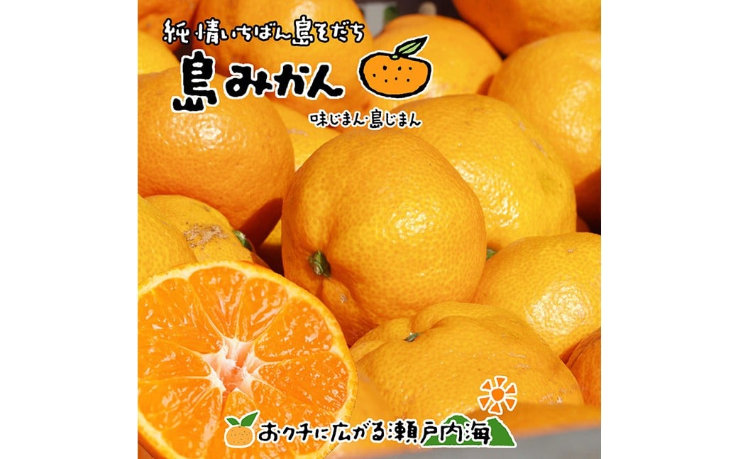 
            【希望の島】 温州みかん 特選品 中玉 2kg 愛媛県 松山市 中島産 みかん 蜜柑 柑橘 特選品 くだもの 果物 フルーツ デザート 国産 常温 【2026年1月下旬迄順次発送予定】（1014）
          
