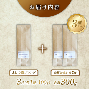 スペシャルティコーヒー 飲み比べ おまかせ3種 計300g コーヒー 