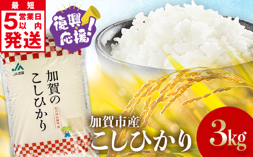 【順次発送】令和7年産 こしひかり 3.0kg(1.5kg×2袋) 生活応援米 精米 銘柄米 お米 米 ギフト 贈り物 グルメ 食品 復興応援米 F6P-3219