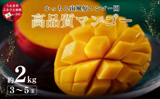 高品質マンゴー　秀品　約2kg（3～5玉）【かっちん南風原マンゴー園】【 先行予約 2027年発送 】