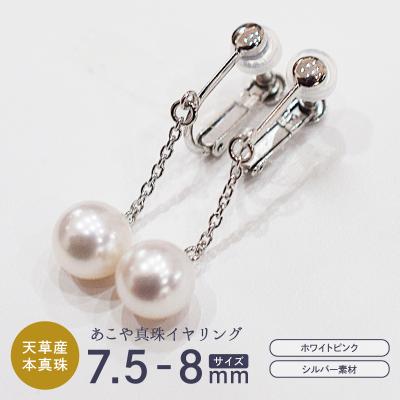 ふるさと納税 天草市 あこや真珠 ホワイトピンク 7.5 - 8mm イヤリング シルバー925 _S085-389