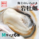 【ふるさと納税】【のし付き いわがき 殻付きMサイズ 6個】海士のいわがき 岩牡蠣 生食可 冷凍 牡蛎 牡蠣 かき カキ 岩牡蠣 いわがき 冷凍 父の日 母の日 バーベキュー ギフト