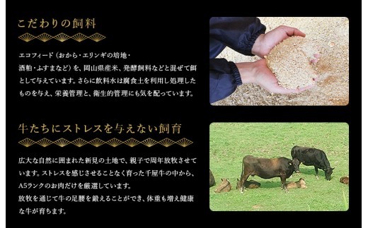 こだわりの飼料で大切に育てています。