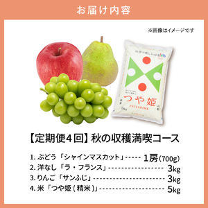 【2025年先行予約 4回定期便】秋の収穫満喫コース(2025年9月 シャインマスカットからスタート) シャインマスカット ラ・フランス りんご つや姫　hi003-143-1