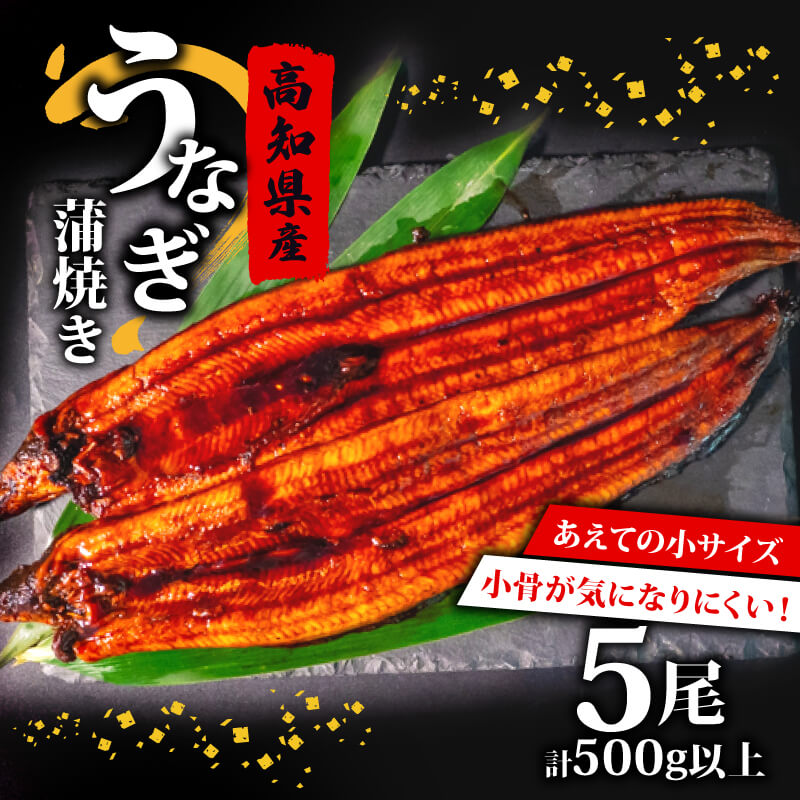 【ふるさと納税】 高知県産 養殖 うなぎ 蒲焼 100g～120g×5尾 セット タレ付き 贈答 養殖 肉厚 鰻 土用丑の日 敬老の日 高知県 須崎市 ふるさと納税うなぎ