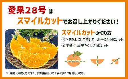 訳あり 愛果28号 2kg サイズミックス 【2026年12月以降発送】 紅まどんなと同一品種 みかん 愛媛 数量限定 先行予約 柑橘 伊予市｜A128