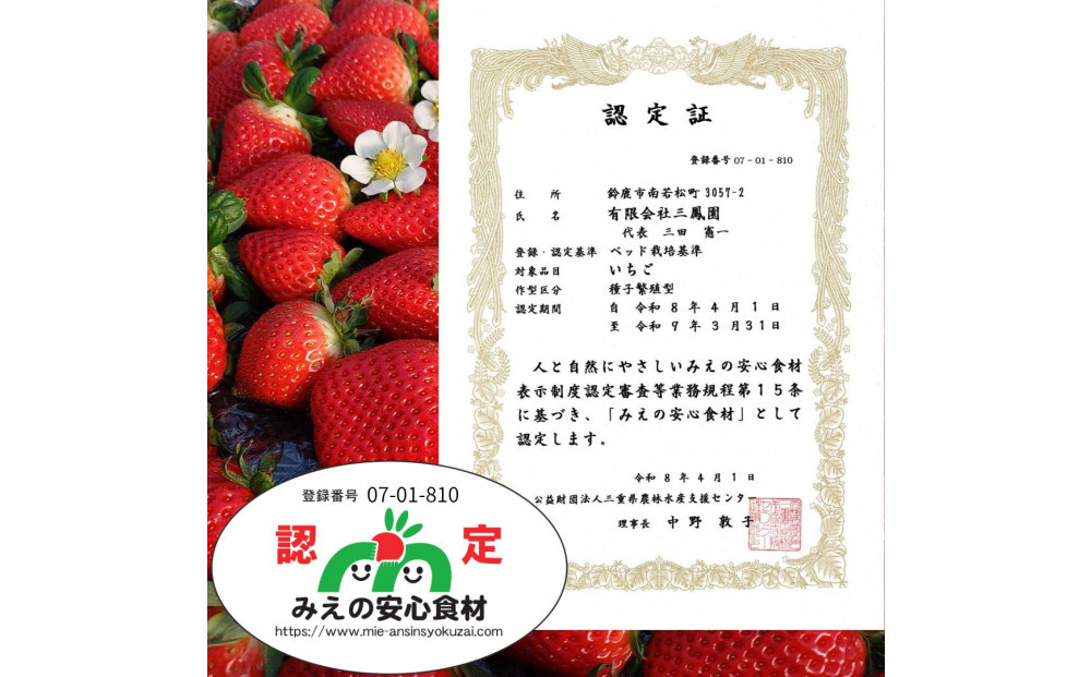【先行予約！】2027年2月以降順次発送　食べ比べ「よつぼし」「うた乃」200ｇ×4パック