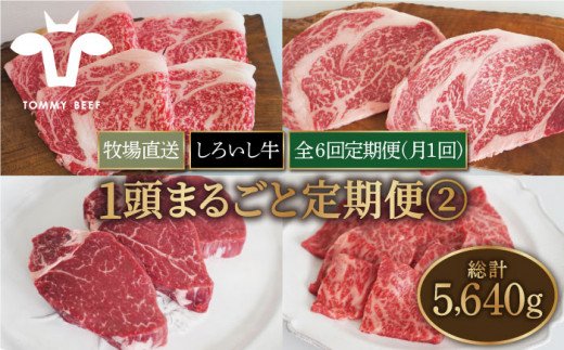 【牧場直送】【6回定期便】佐賀県産しろいし牛 1頭まるごと定期便A【有限会社佐賀セントラル牧場】 [IAH033]