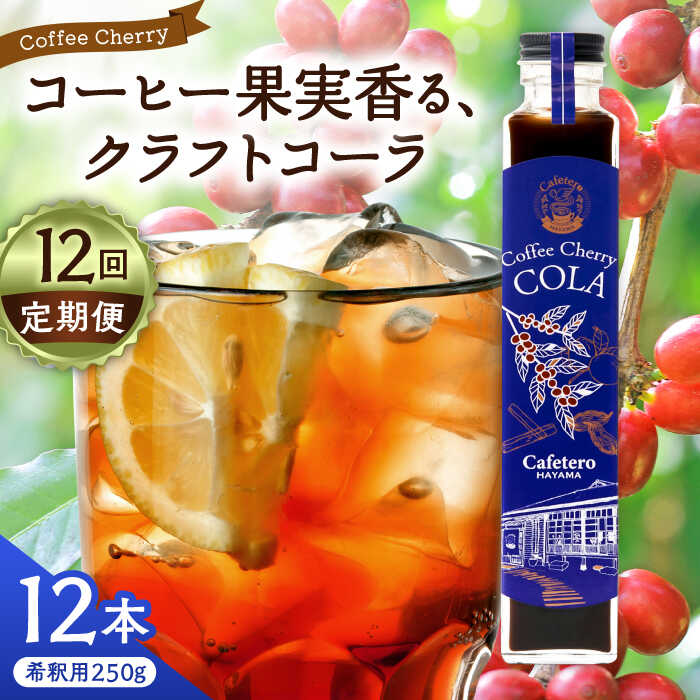 【ふるさと納税】【先行予約】【2025年7月中旬から順次発送】【全12回定期便】カフェテーロ葉山 チェリーコーラ 250g×12本 / ジュース 飲料 コーラ チェリー 250ml 葉山町【合同会社エンディレクト】[ASBM015]