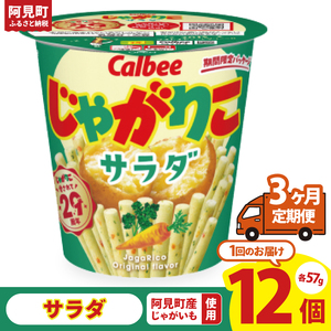 【3回定期便】カルビー じゃがりこサラダ（57g） 12個｜Calbee お菓子 菓子 おやつ おかし スナック おつまみ ジャガイモ じゃがいも（93-17）