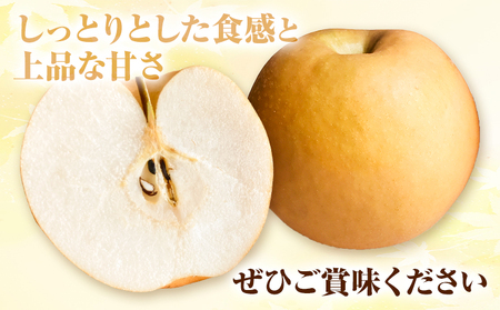 H-37a　岡山県産 あたご梨　4kg （3玉～6玉）令和7年度産先行受付《11月下旬‐12月中旬頃出荷》