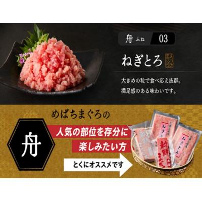 ふるさと納税 三浦市 めばちまぐろづくし 舟(ふね) |  | 03