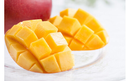 KU123【定期便・全3回】あふれる果実感！マンゴー・日向夏ドリンク２本セット(各720ml)×3回【宮崎果汁】