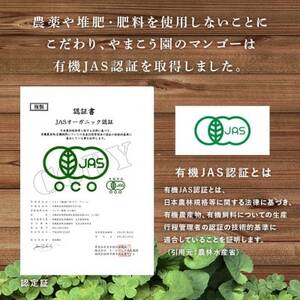 先行予約【有機JAS認証】オーガニックマンゴー2kg（4～5玉）【2024年7月発送】