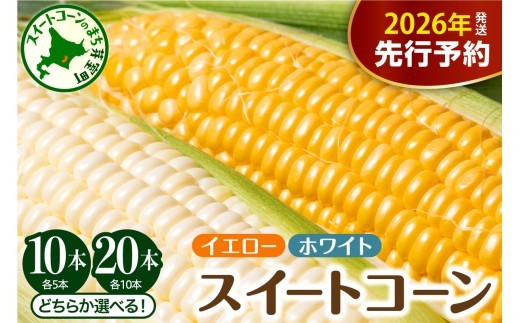 
                  【先行受付】【2026年7月下旬～8月中旬頃配送】北海道十勝芽室町 とうもろこし イエロー種 ホワイト種 (選べる本数 : 10本 20本 ) me002-016-o
／スイートコーン 高評価 人気 コーン 生 野菜 黄色 
                