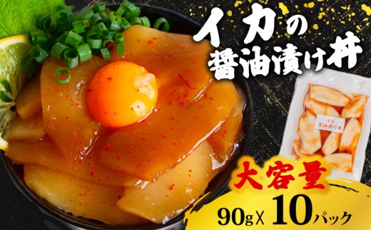 漬け丼 90g×10パック 海鮮丼 海鮮丼セット イカ 海鮮 漬け お茶漬け 烏賊 いか 惣菜 冷凍 真空パック 小分け パック ご飯 晩御飯 刺身 漬け丼の具 漬け丼 ランキング 漬け丼 イカ 高知県 須崎市 TY060