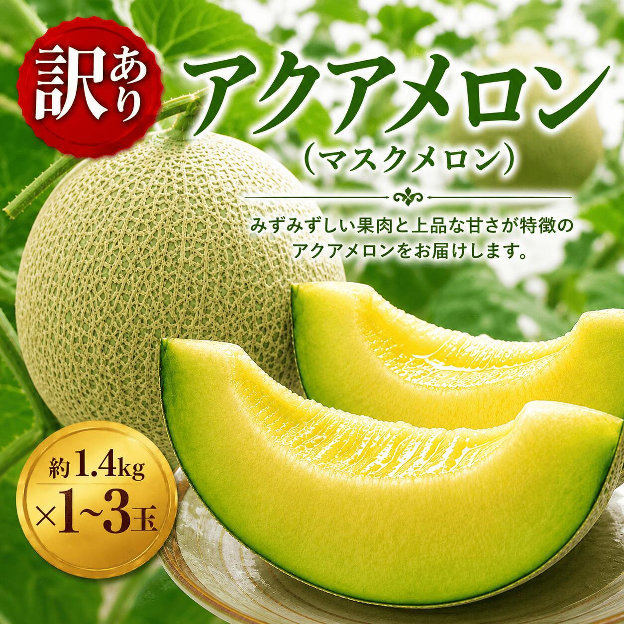 【ふるさと納税】訳あり 千葉 アクアメロン 約1.4kg（ L玉 ） × 1玉~3玉 メロン めろん マスクメロン ますくめろん くだもの フルーツ ふるーつ L玉 Lサイズ 大玉 甘い 温室メロン ジューシー 訳あり デザート 高糖度 アールスメロン 10000 1万円 戸田メロン 千葉県 東金