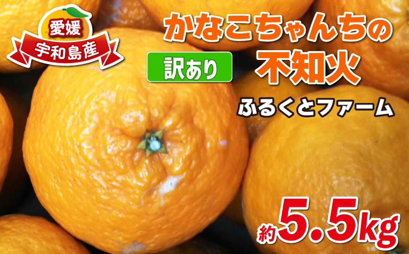 
            訳あり 不知火 約5.5kg ふるくとファーム しらぬい 先行予約 果物 くだもの わけあり 訳あり品 フルーツ 柑橘 蜜柑 みかん 不知火みかん mikan ミカン グルメ お取り寄せ 訳アリ 訳あり品 デザート 愛媛みかん 愛媛ミカン 愛媛蜜柑 数量限定 国産 愛媛 宇和島 B010-037008
          