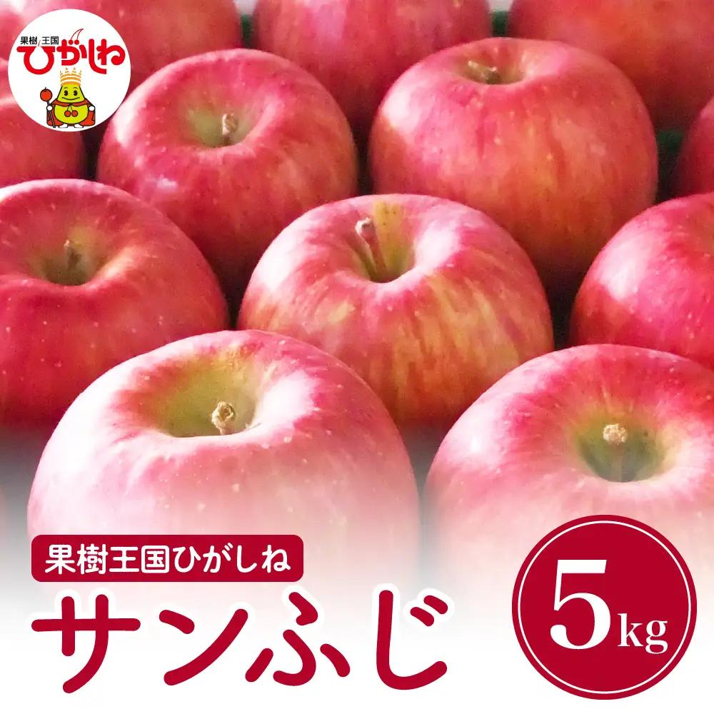 【2026年産】りんご 「 サンふじ 」 5kg りんご