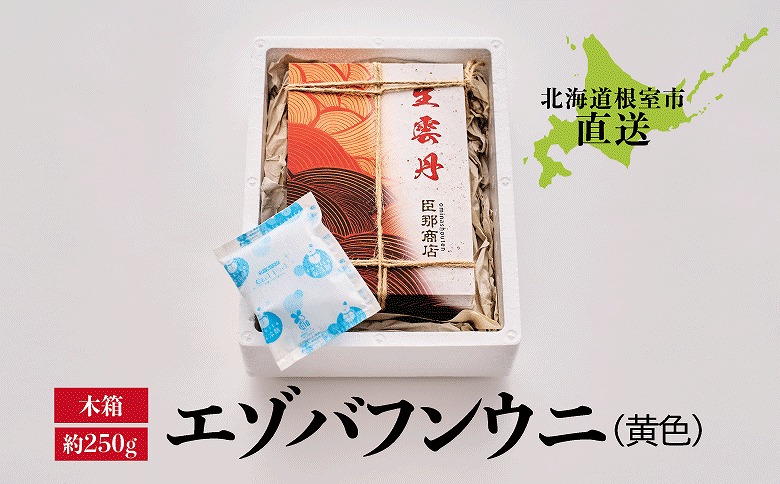 エゾバフンウニ(黄色)約250g×1折 D-22001