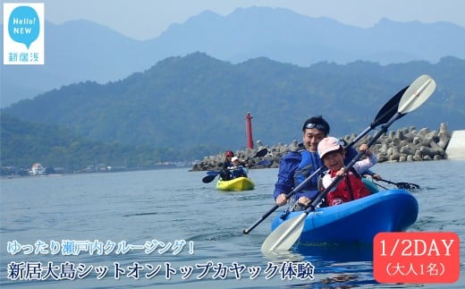 
ファミリー向け　新居大島シットオントップカヤック体験　1/2DAY（大人1名）
