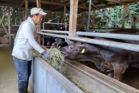【J-061】＜なかむら謹製＞【博多和牛】黒毛和牛ロースしゃぶしゃぶ用うす切り1.2kg