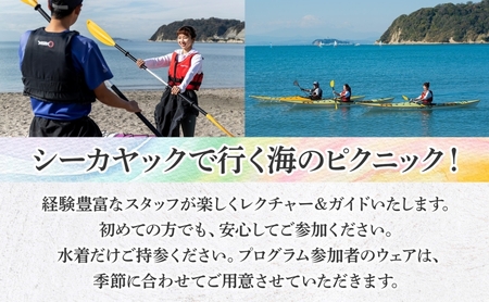 【逗子海岸・エバーリゾート 】シーカヤック 1DAY ピクニック体験 1名様 ランチ付き ピクニック 体験 海 カヤック ガイド ランチ 無人島 波 水着 ウエットスーツ 逗子海岸 エバーリゾート 神