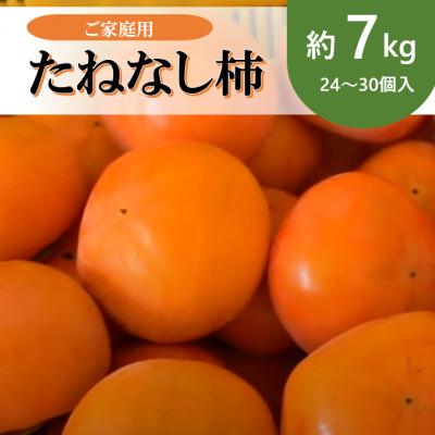 ふるさと納税 五條市 【令和7年分　先行予約】たねなし柿　家庭用　約7kg(24〜30個入)