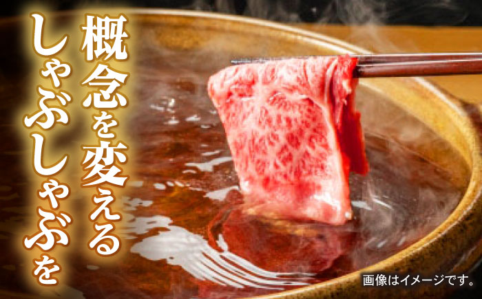 ロース スライス 400g / 長崎和牛 A4～A5ランク しゃぶしゃぶ すき焼き / 諫早市 / 野中精肉店 [AHCW041]