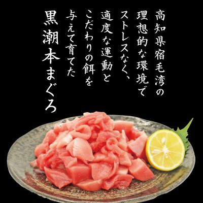 ふるさと納税 宿毛市 本まぐろ 切り落とし 約300g |  | 01