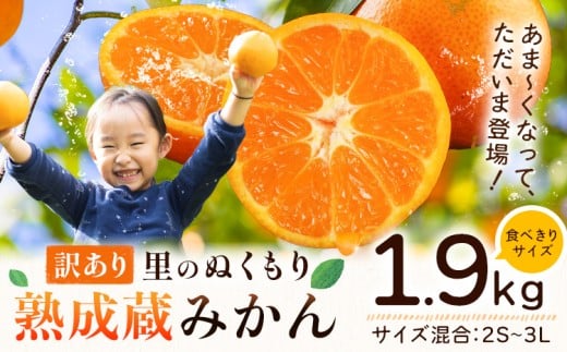 訳あり 熟成みかん 1.9kg 《1月上旬-3月上旬頃出荷》徳島 柑橘 ミカン 蜜柑 フルーツ 青果物 お試し 徳島県 佐那河内村