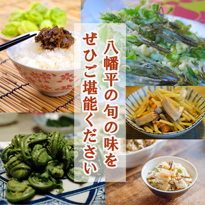 【5月上旬より発送開始予定】 期間限定 天然山菜 食べ比べセット 約300g ／ 山菜 春の山菜 春 さんさい 旬 春の味覚 食べ比べ 味比べ セット 季節物 季節野菜 旬野菜 春野菜 春の野菜 山菜