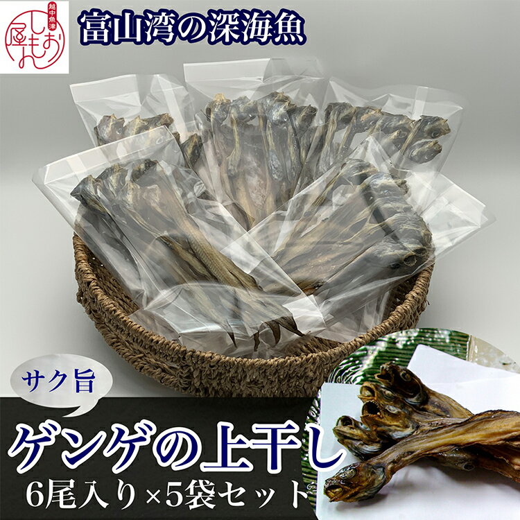 【ふるさと納税】【富山湾深海魚】サク旨 ゲンゲの上干し×5袋（ゲンゲの干物）｜干物 魚 冷凍 焼き魚 朝食 ご飯のお供 日本酒 おつまみ セット 酒の肴 魚貝類 干物ギフト 旨味 凝縮 白身 ノロゲンゲ 幻魚 Fish Seafood Dried 北陸 富山県 富山湾 魚津市 送料無料